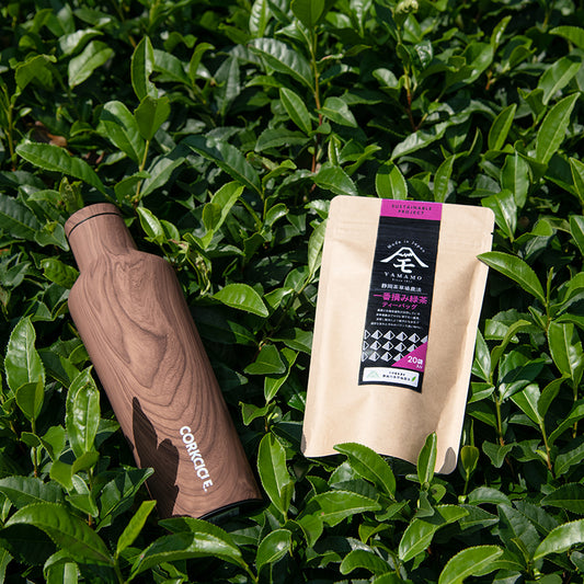 コークシクル CANTEEN470ml